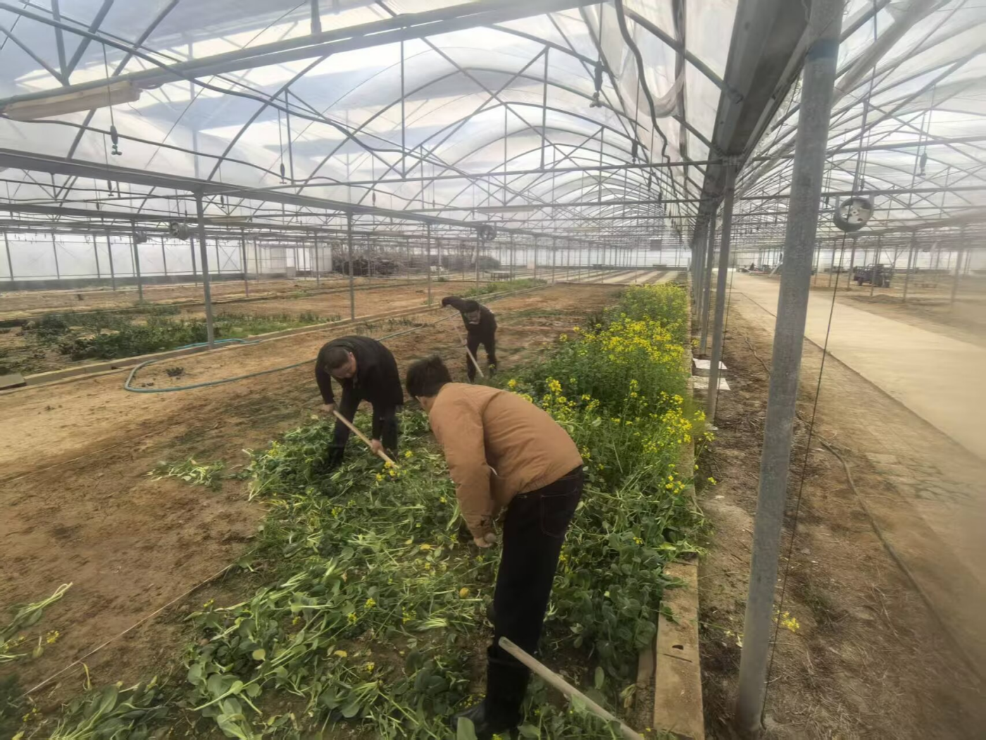 倉儲中心除草_副本